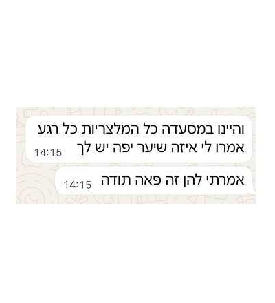 המלצה
